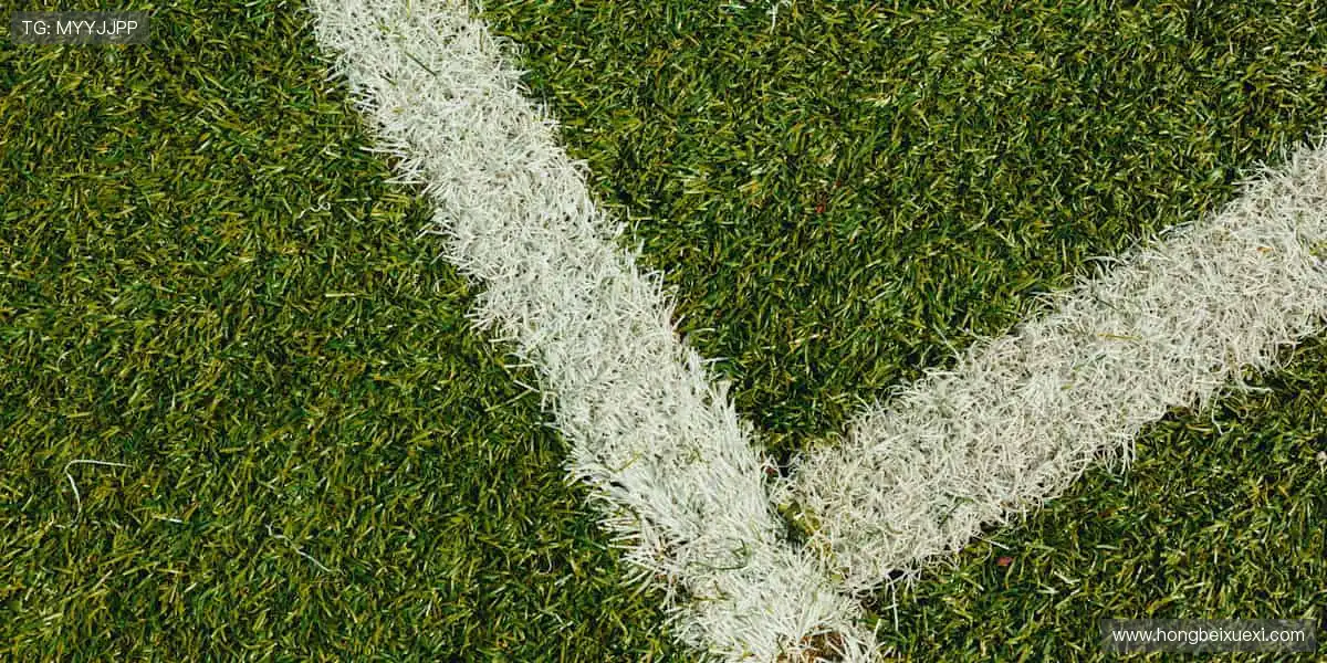 赛场瞬息万变,直播分秒必争!🏀